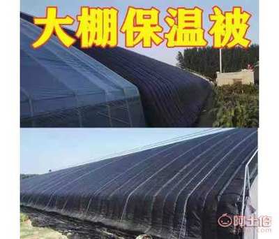冬季大棚必备技巧与保温被的核心价值解析
